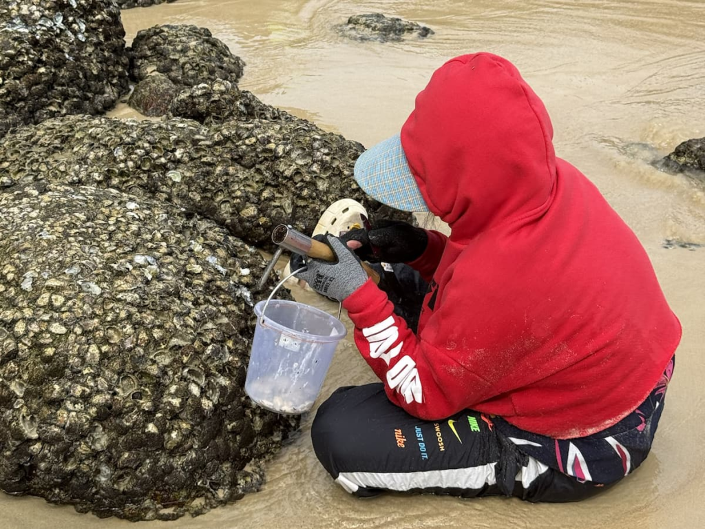 Local resident collecting shellfish from coastal rocks, capturing an everyday moment for the Annual Journal.